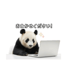えあこんぱんだ（個別スタンプ：33）