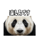えあこんぱんだ（個別スタンプ：34）