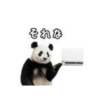 えあこんぱんだ（個別スタンプ：39）