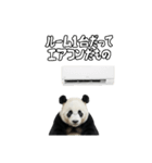 えあこんぱんだ（個別スタンプ：40）