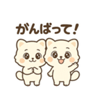 ふわたぬ日和（個別スタンプ：24）