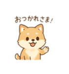 しばいぬとの日常（個別スタンプ：4）