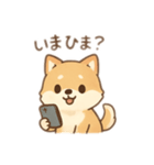 しばいぬとの日常（個別スタンプ：6）