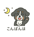 まろわんバーニーズマウンテンドッグ改（個別スタンプ：2）