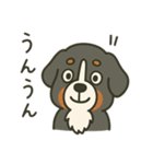 まろわんバーニーズマウンテンドッグ改（個別スタンプ：4）