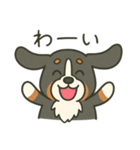 まろわんバーニーズマウンテンドッグ改（個別スタンプ：9）