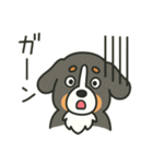 まろわんバーニーズマウンテンドッグ改（個別スタンプ：11）