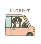まろわんバーニーズマウンテンドッグ改（個別スタンプ：12）