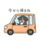 まろわんバーニーズマウンテンドッグ改（個別スタンプ：13）