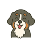 まろわんバーニーズマウンテンドッグ改（個別スタンプ：15）