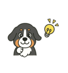 まろわんバーニーズマウンテンドッグ改（個別スタンプ：19）