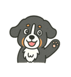 まろわんバーニーズマウンテンドッグ改（個別スタンプ：20）
