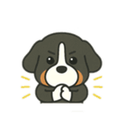 まろわんバーニーズマウンテンドッグ改（個別スタンプ：23）