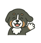 まろわんバーニーズマウンテンドッグ改（個別スタンプ：24）
