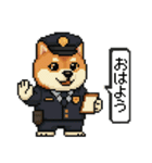柴犬警察スタンプスタンプ（個別スタンプ：2）