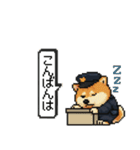 柴犬警察スタンプスタンプ（個別スタンプ：3）