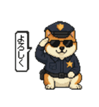 柴犬警察スタンプスタンプ（個別スタンプ：4）