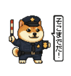 柴犬警察スタンプスタンプ（個別スタンプ：8）