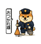 柴犬警察スタンプスタンプ（個別スタンプ：12）