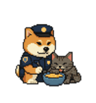 柴犬警察スタンプスタンプ（個別スタンプ：13）