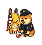 柴犬警察スタンプスタンプ（個別スタンプ：16）