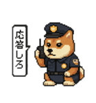 柴犬警察スタンプスタンプ（個別スタンプ：17）