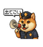 柴犬警察スタンプスタンプ（個別スタンプ：21）