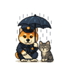 柴犬警察スタンプスタンプ（個別スタンプ：24）
