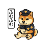 柴犬警察スタンプスタンプ（個別スタンプ：30）