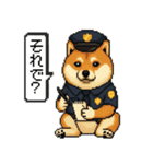 柴犬警察スタンプスタンプ（個別スタンプ：31）