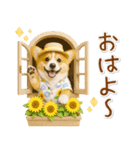 癒しコーギーの「夏」の毎日（個別スタンプ：1）