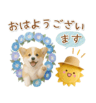 癒しコーギーの「夏」の毎日（個別スタンプ：2）