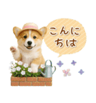 癒しコーギーの「夏」の毎日（個別スタンプ：3）