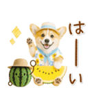 癒しコーギーの「夏」の毎日（個別スタンプ：6）