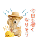 癒しコーギーの「夏」の毎日（個別スタンプ：9）