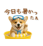 癒しコーギーの「夏」の毎日（個別スタンプ：10）