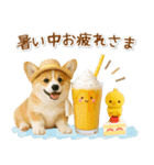 癒しコーギーの「夏」の毎日（個別スタンプ：12）