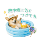 癒しコーギーの「夏」の毎日（個別スタンプ：13）