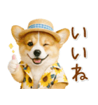 癒しコーギーの「夏」の毎日（個別スタンプ：21）