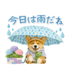 癒しコーギーの「夏」の毎日（個別スタンプ：25）