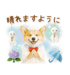 癒しコーギーの「夏」の毎日（個別スタンプ：29）