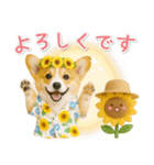 癒しコーギーの「夏」の毎日（個別スタンプ：35）