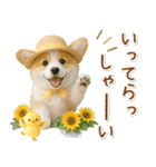 癒しコーギーの「夏」の毎日（個別スタンプ：38）
