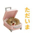 シシバナヘビの日常スタンプ（個別スタンプ：2）