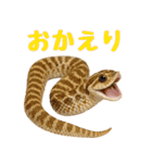 シシバナヘビの日常スタンプ（個別スタンプ：4）