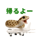 シシバナヘビの日常スタンプ（個別スタンプ：5）