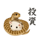 シシバナヘビの日常スタンプ（個別スタンプ：10）