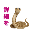 シシバナヘビの日常スタンプ（個別スタンプ：15）