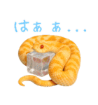 シシバナヘビの日常スタンプ（個別スタンプ：21）