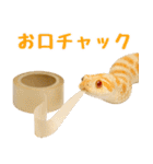 シシバナヘビの日常スタンプ（個別スタンプ：23）